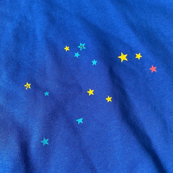 Sp5der Blue Long Sleeve Hooded Spider Print Sweatshirt - Picture 6 of 6